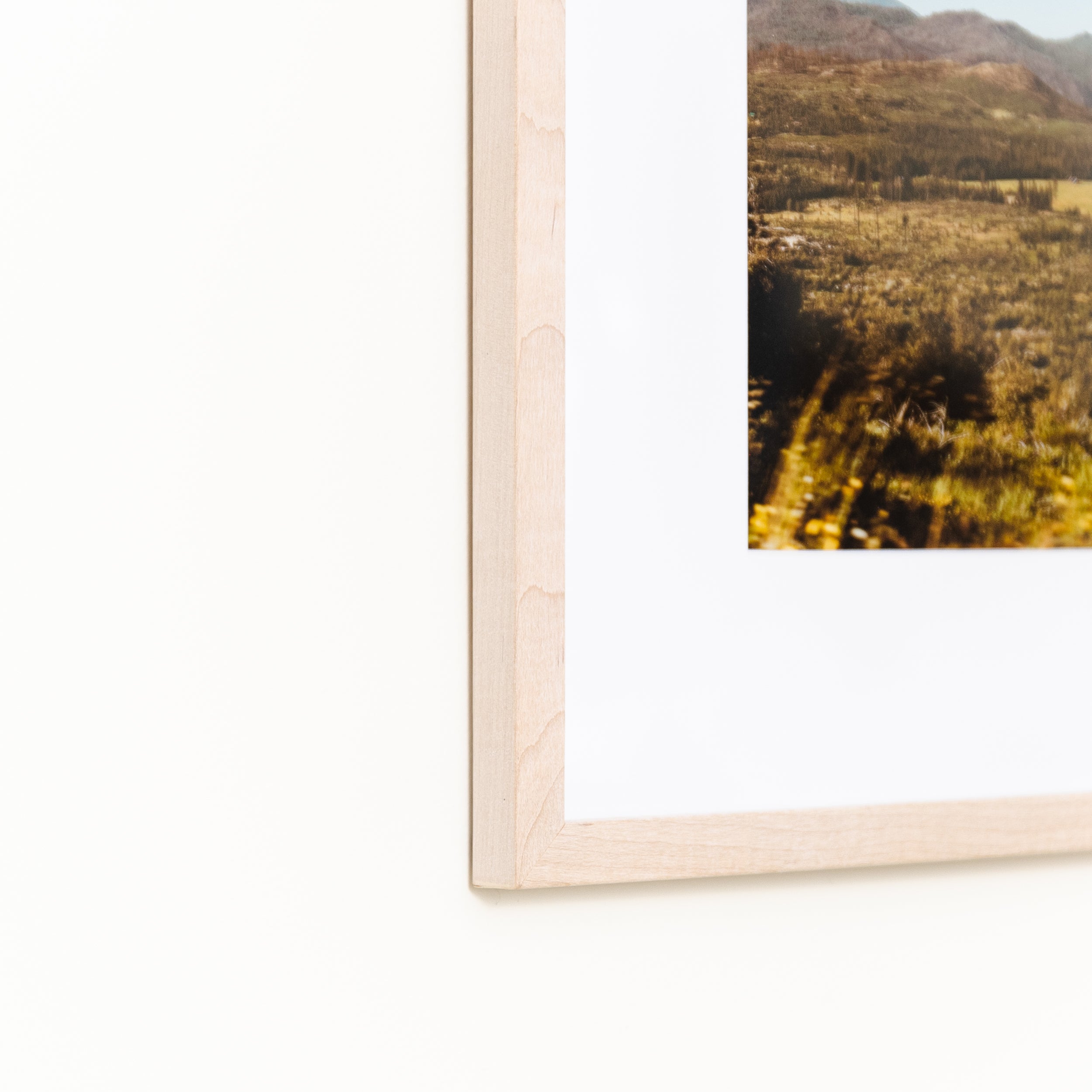 Bleached Maple Mini - Image 4