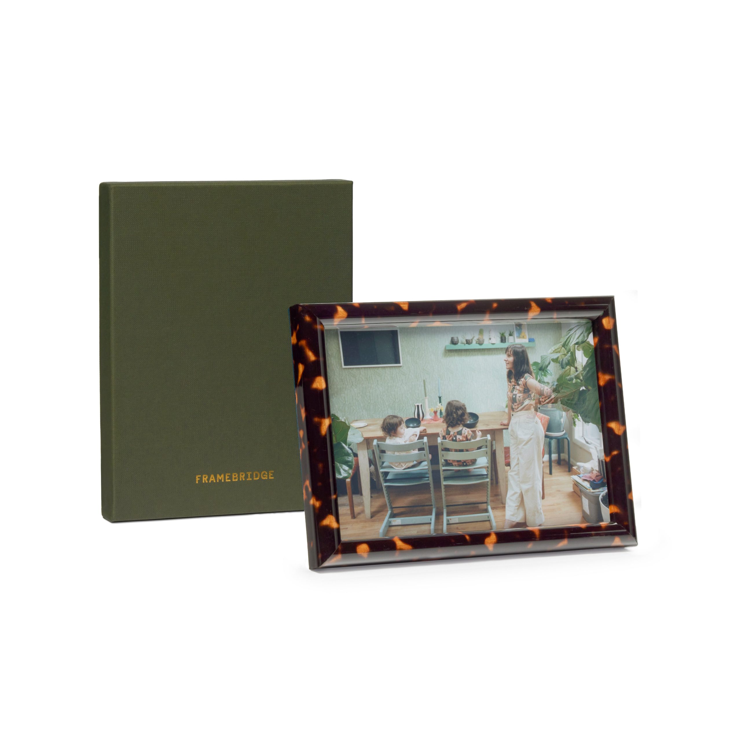 Tortoise Frame: 6x8 - Image 2