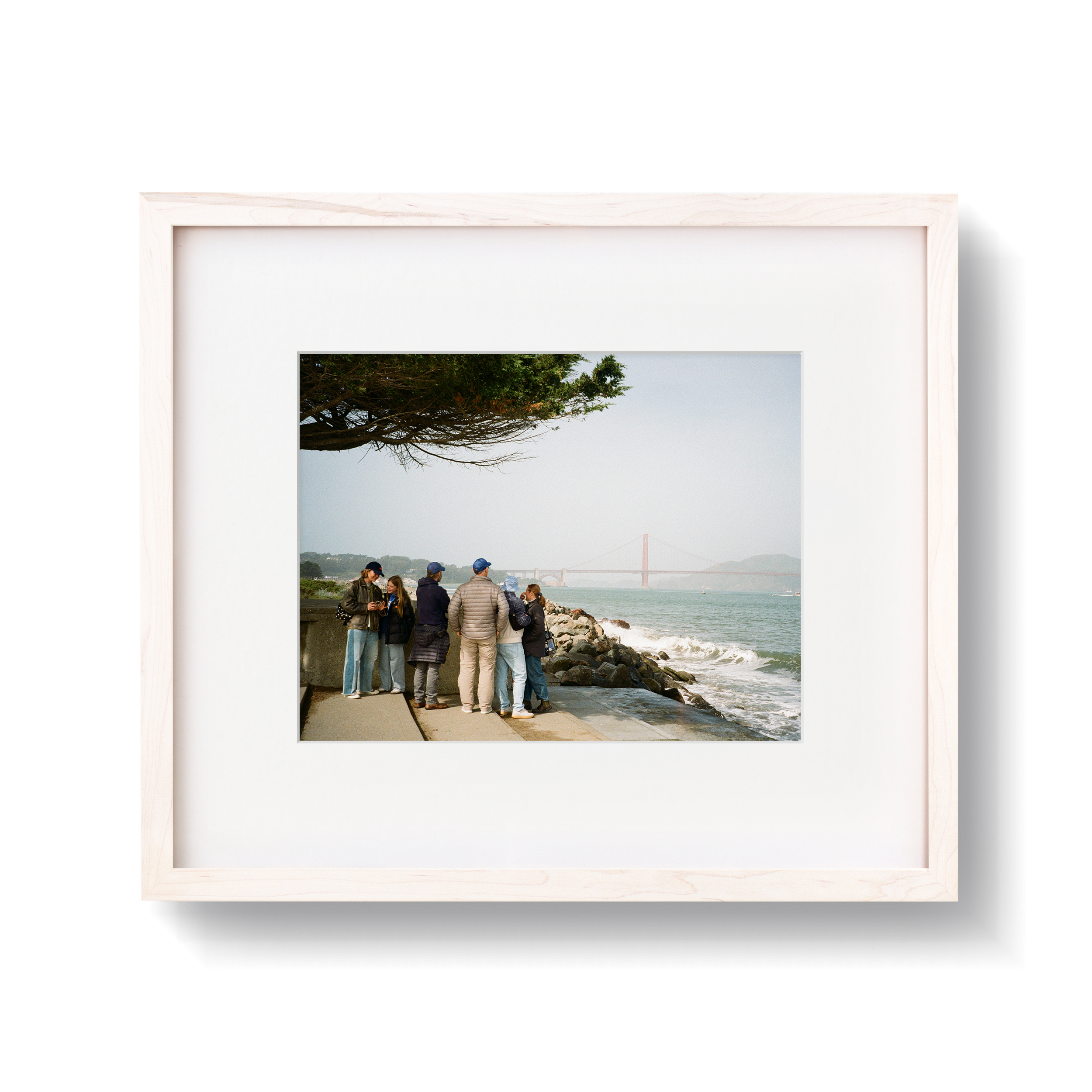 Bleached Maple Gallery