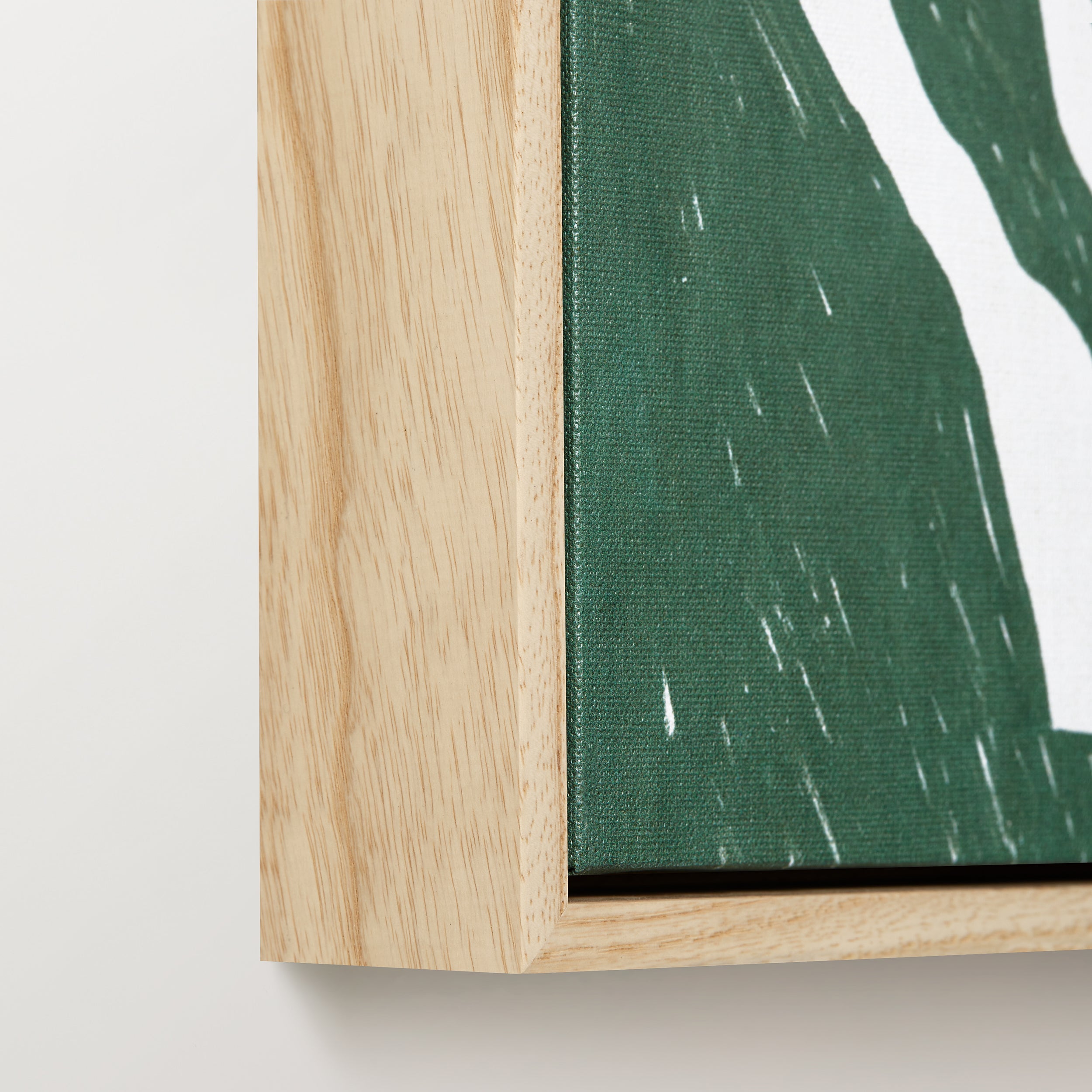 Ash Canvas - Image 3