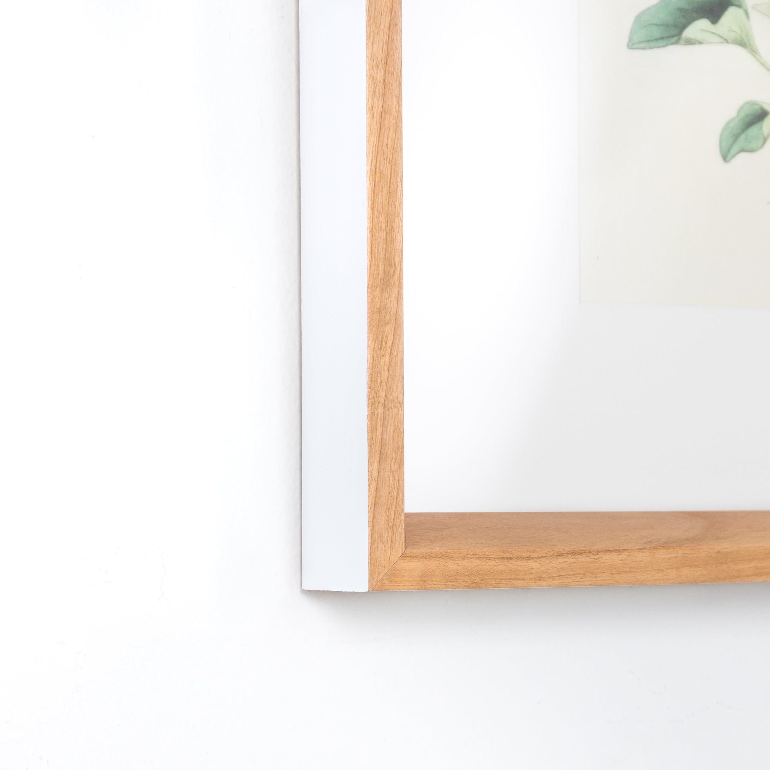 Cherry with White - Image 4