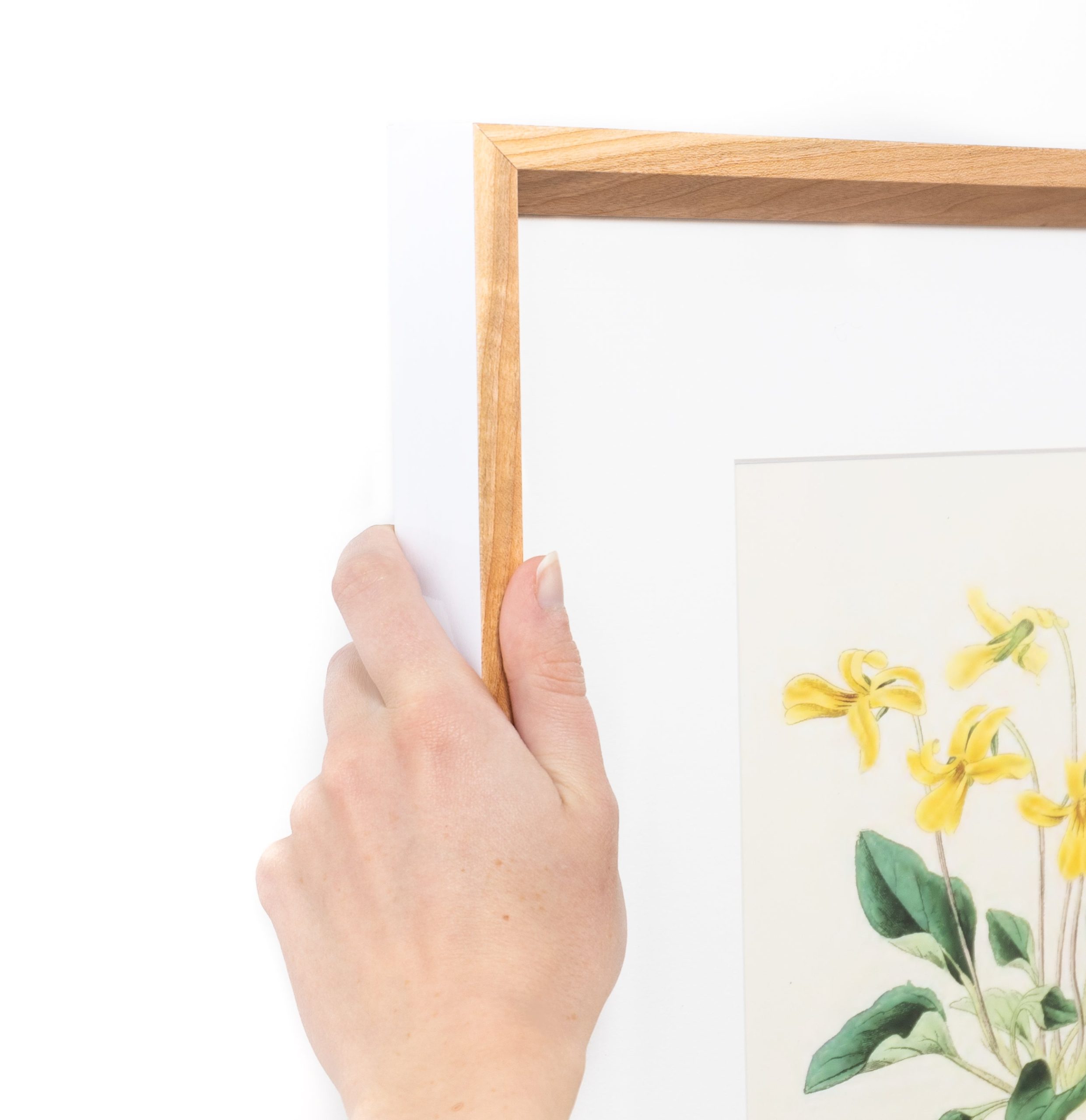 Cherry with White - Image 3