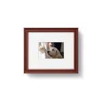 Etruscan Red [Prof. 01]