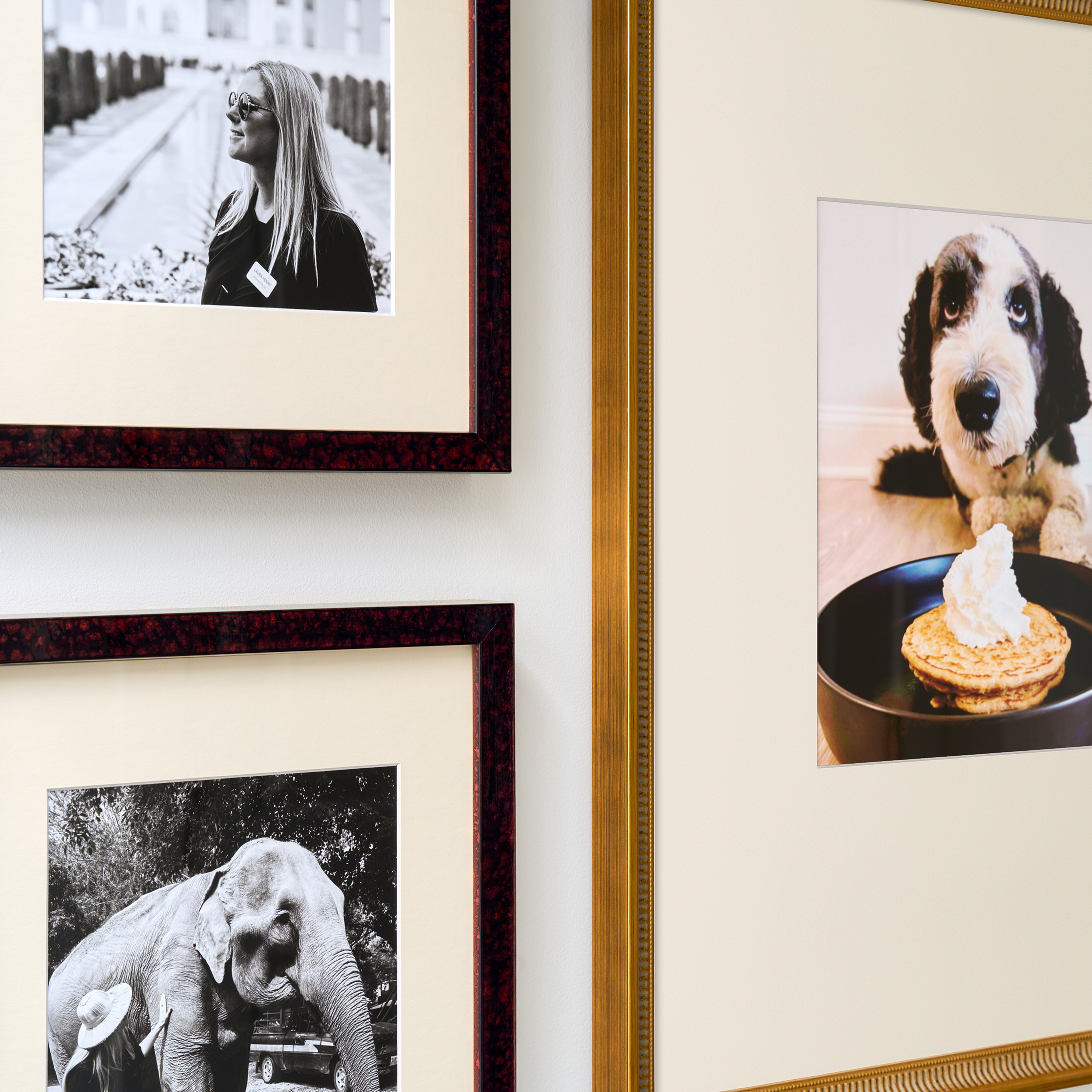 The Perfect Trio - Image 2