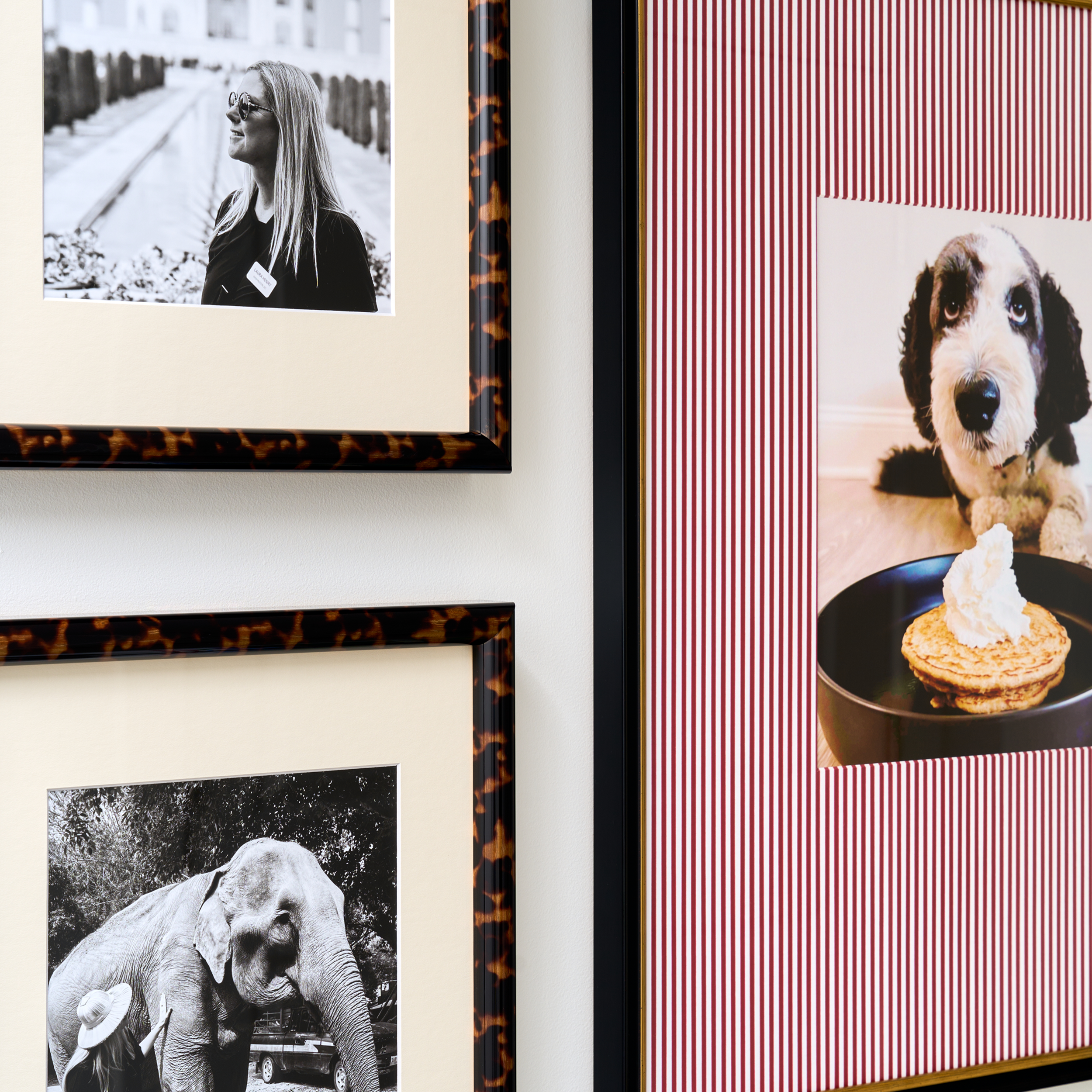 The Perfect Trio - Image 4