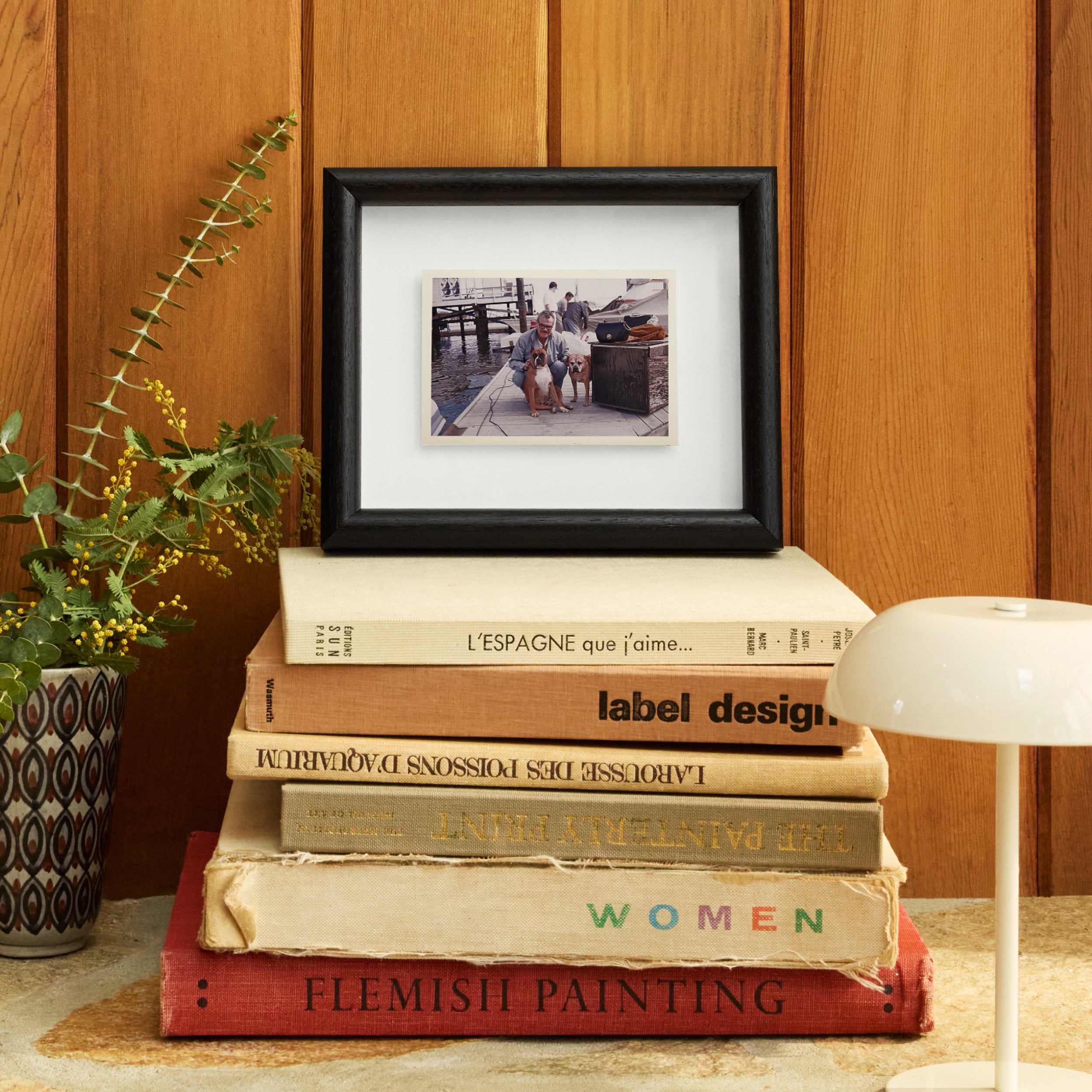 Black Walnut Round - Image 3