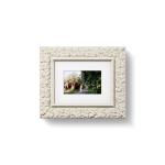 School House White [Prof. 02]