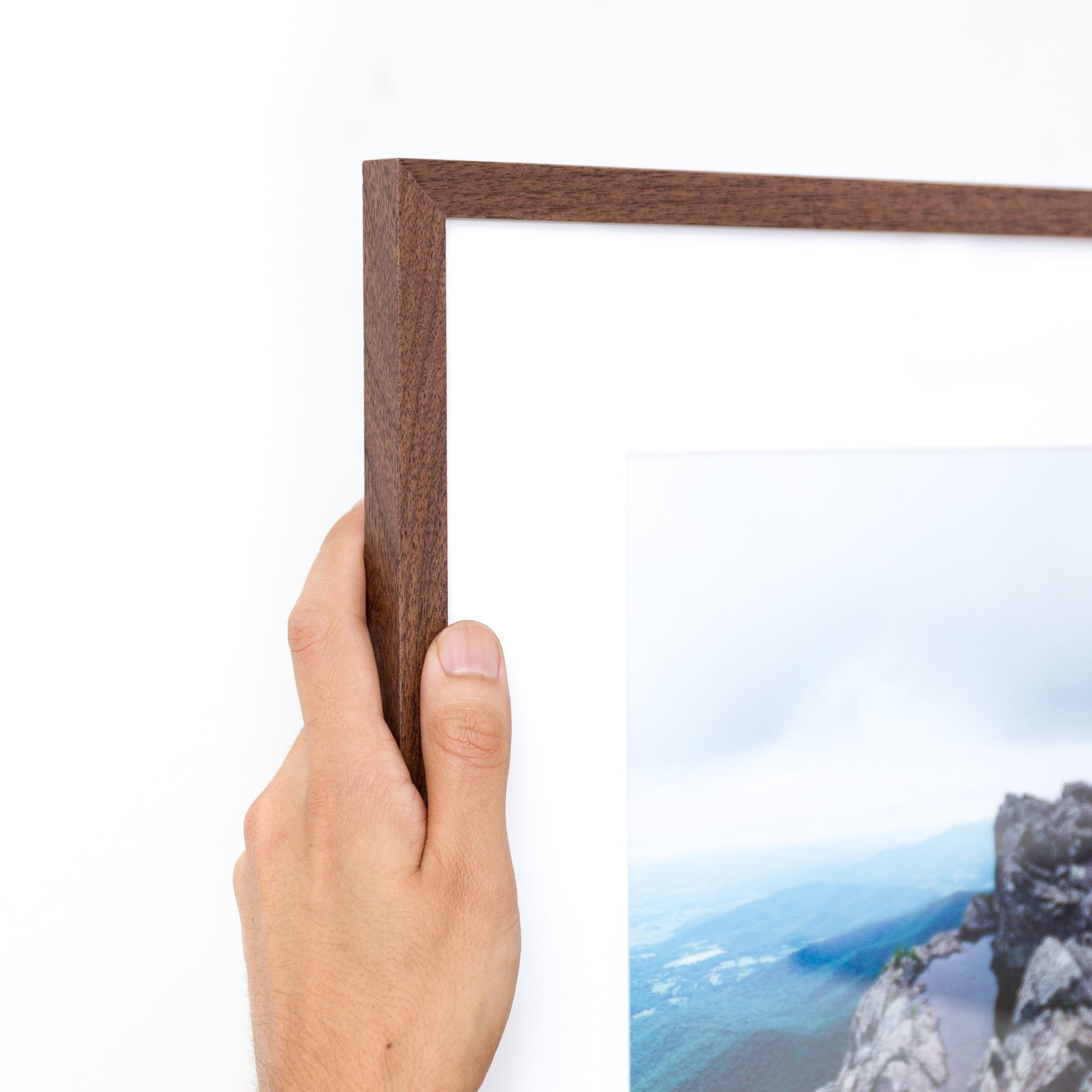 Walnut Mini - Image 3